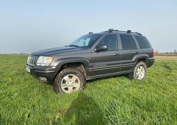 Jeep Grand Cherokee cena 25900 przebieg: 317000, rok produkcji 2003 z Tuchola małe 301